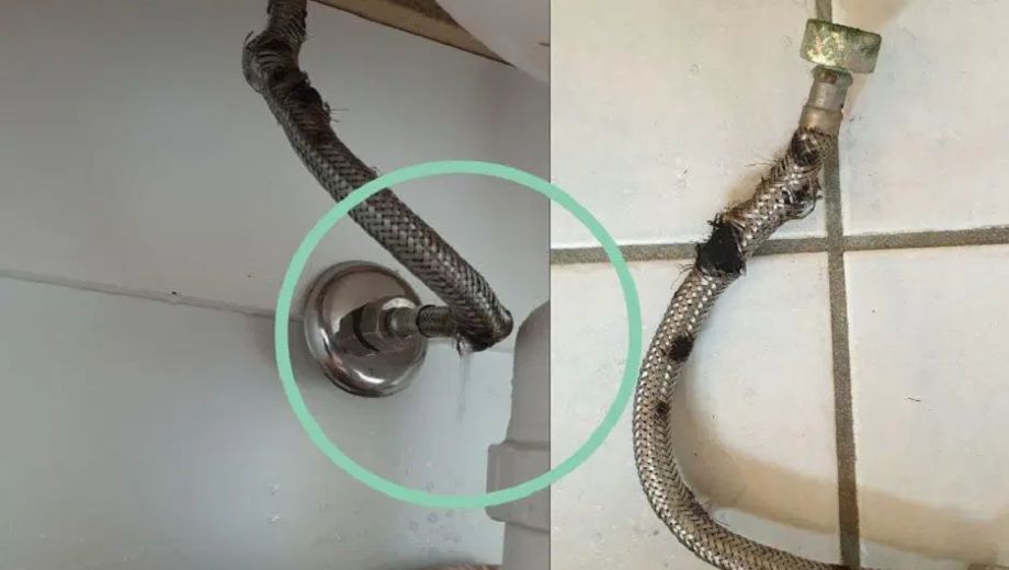 نشتی بست شلنگی