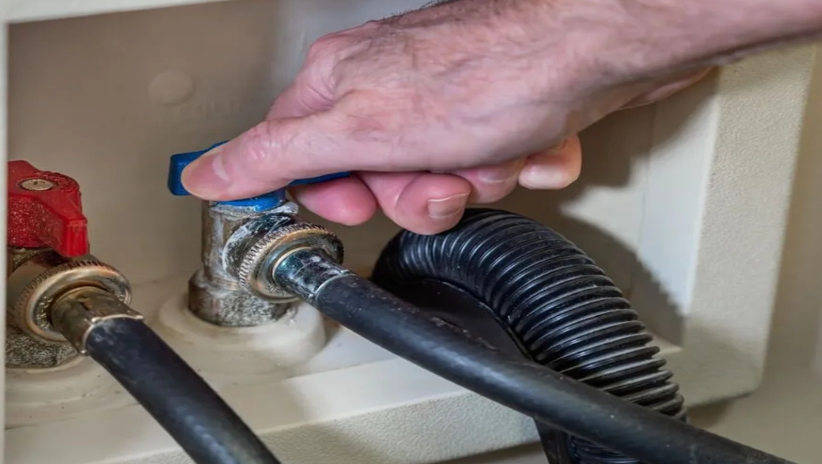 تاثیر شیر پیسواری در پیشگیری از نشتی